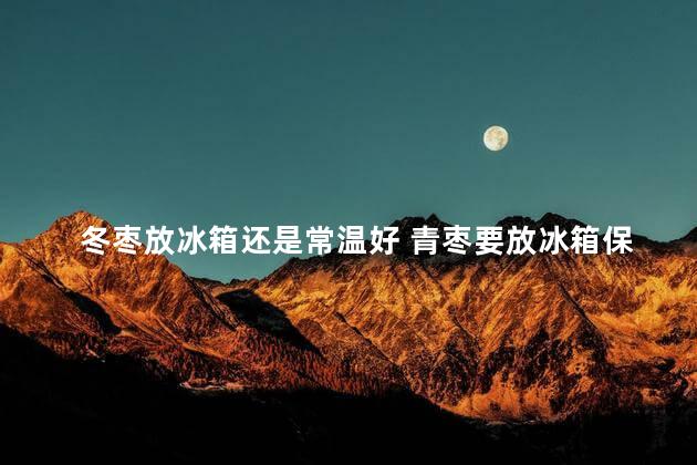 冬枣放冰箱还是常温好 青枣要放冰箱保存吗